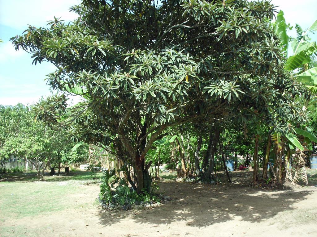 Pousada Pimenta Rosa Saquarema Exterior photo