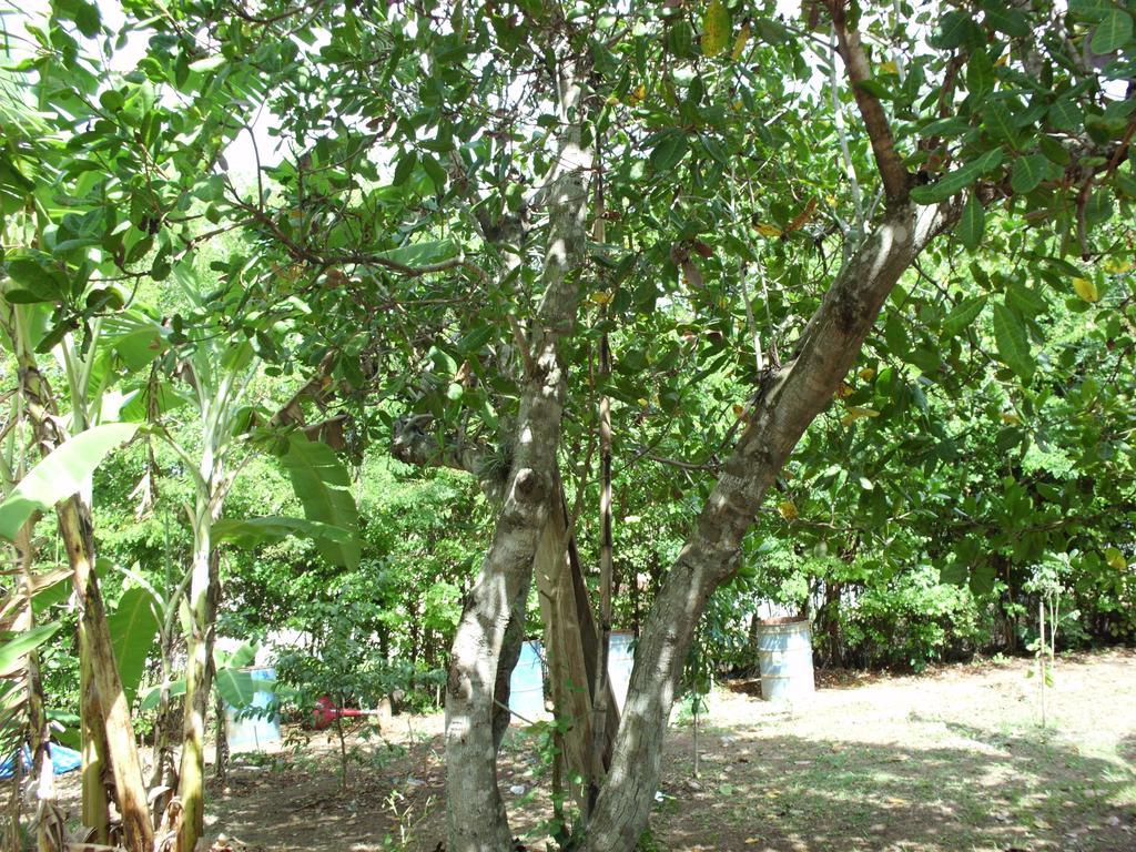 Pousada Pimenta Rosa Saquarema Exterior photo