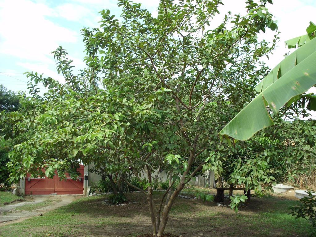 Pousada Pimenta Rosa Saquarema Exterior photo